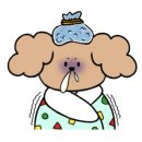 땅콩동물병원 이미지