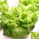 천마마을관리 사회적협동조합 이미지