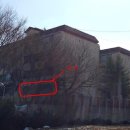 중앙로349번길 이미지