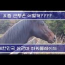 우마무스메 프리티 더비 - 플라이 투더 스카이 엔젤 21화 이미지