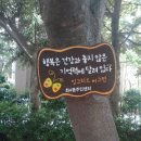 좌4동 주민센터 네이버블로그