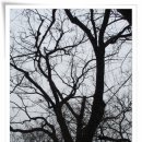 상촌목장 이미지