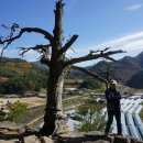 가리왕산 휴양림 이미지