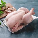 자라다의원 | 쨈g털 레이저로 조진 후기 (젠틀 맥스 프로 가격 및 정보 공유 feat. 미금 밴스 의원)