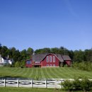 새벽숲농장 이미지