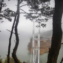 베스트8 이미지