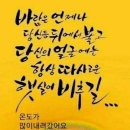 보리화 Daum카페