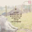 라임사랑