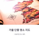 청남대 진입로 | 가을 단풍 명소 지도 한눈에 보기, 11월 추천 코스 정리