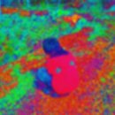 천두농장 이미지