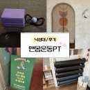 맨몸PT밴드운동 | 맨몸운동PT 수업 후기, 운동초보를 위한 낙성대pt 추천