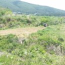 거제시일운면망치보건진료소 이미지