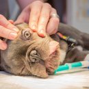 한마음동물병원 이미지