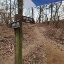 지곡초교 삼거리 이미지