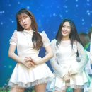 효정스포츠