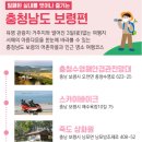 죽도어촌체험휴양마을 이미지