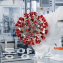 유원무도장 이미지