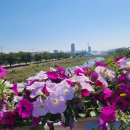 풍기 인삼 축제 엑스포 이미지