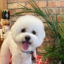 이쁘개멋있개 이미지