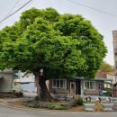 새텃말경로당 이미지