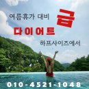 하프사이즈