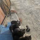 남해-118 이미지