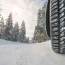 타이어M 이미지