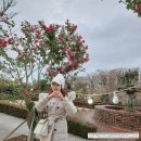 인셀덤제주도대리점