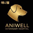 애니웰 동물병원 네이버블로그