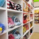 대백애견 이미지