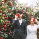 메이네스튜디오