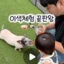 새말안길 네이버블로그