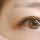 아름단아