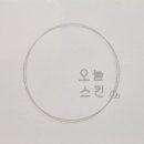 오늘스킨 네이버블로그