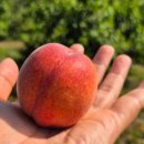 매향농장 이미지