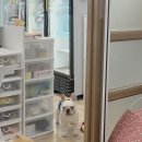 행복만줄개 이미지