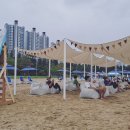 해변쉼터 이미지
