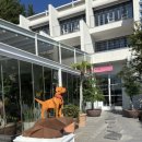 비코펜션 이미지