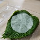 제주머슴네전복김밥