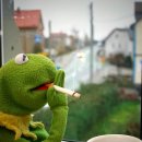 남주농장 | [미씽나인] 3화(하차)