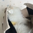 별다리 캠핑 이미지