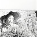 극동농장 이미지