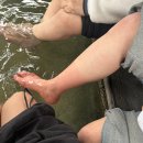 지열농장 | 또 대만여행,,,Day 1_자오시(럭키드로우/장메이 농장/청수지열/뤄동야시장/이슌쉬엔)