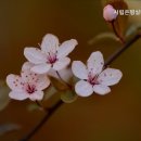 시립은평실버케어센터 네이버블로그