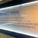 원조돼지이야기 이미지