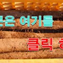 한티골마 이미지