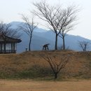 가야진사 이미지