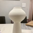 모던데이지