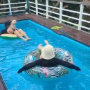 개멍물멍 이미지