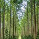 황령산관광지 이미지